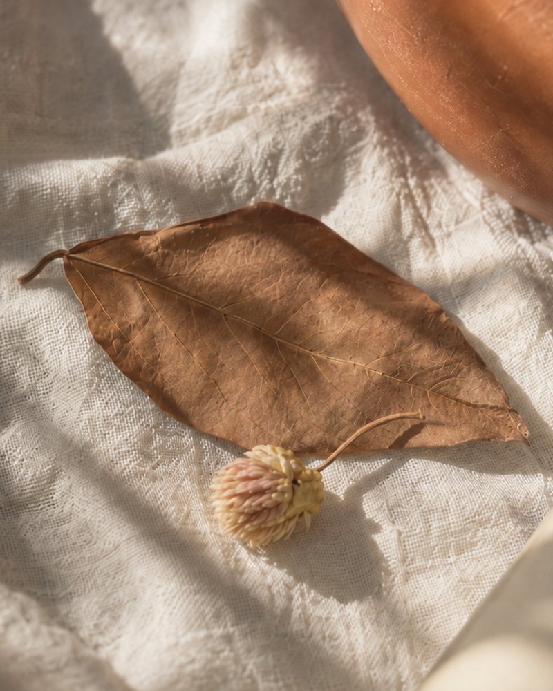 Folha seca e uma flor de perpétua sobre um tecido de linho, sob a luz da tarde